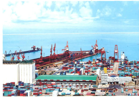 DGの貨物国際的な貨物運送業者の中国の通関手続き