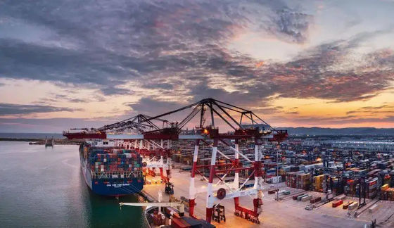 Overzeese Vrachtvervoerder Internationale OceaanVrachtvervoerder van China aan Vietnam