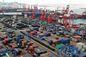 China à importação internacional da exportação do remetente de Rangoon pelo transporte do mar