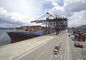 중국부터 두바이까지 NVOCC 해상 운송 취급업 해상운송